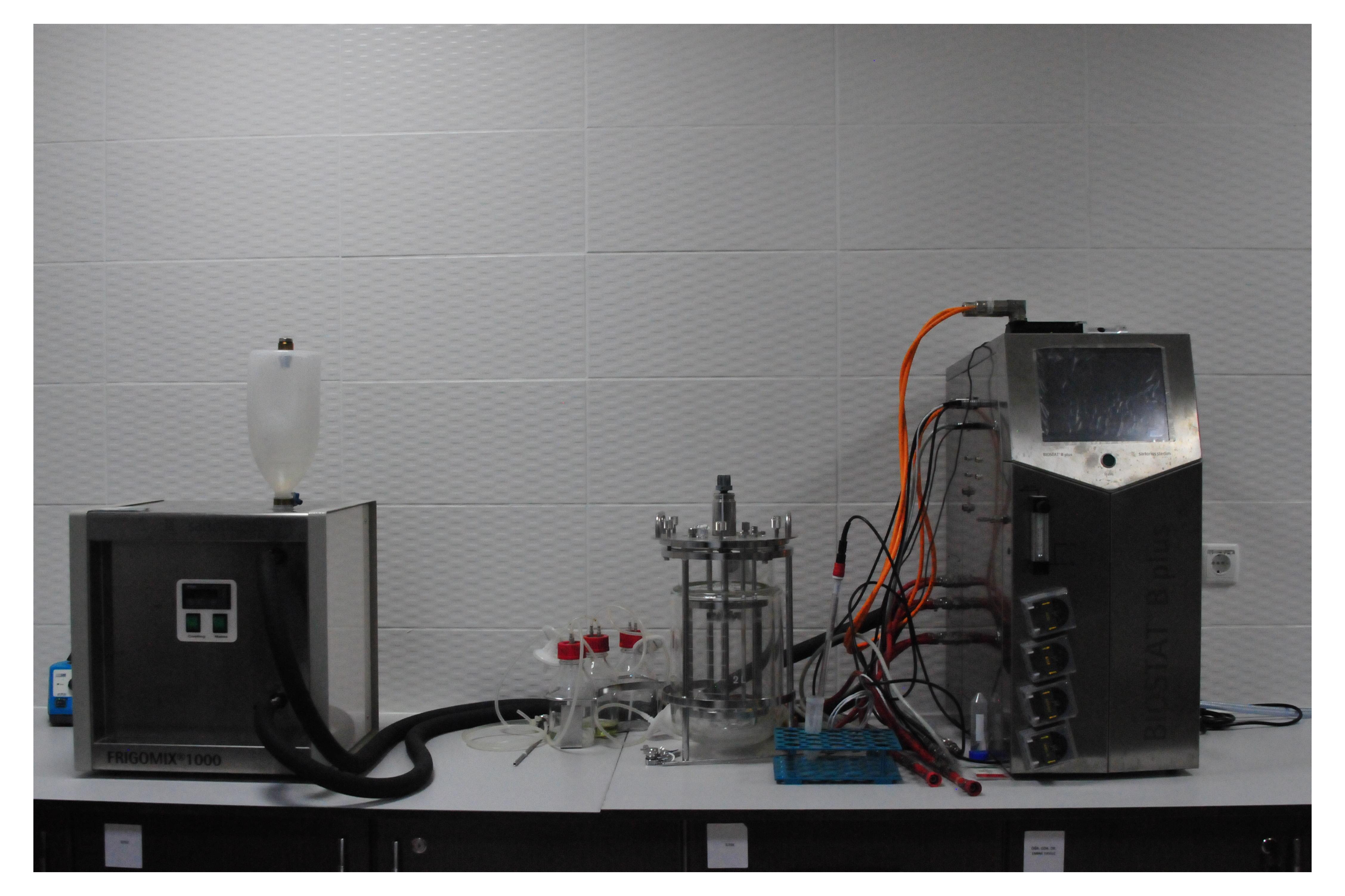 Biyoreaktör/Fermentör