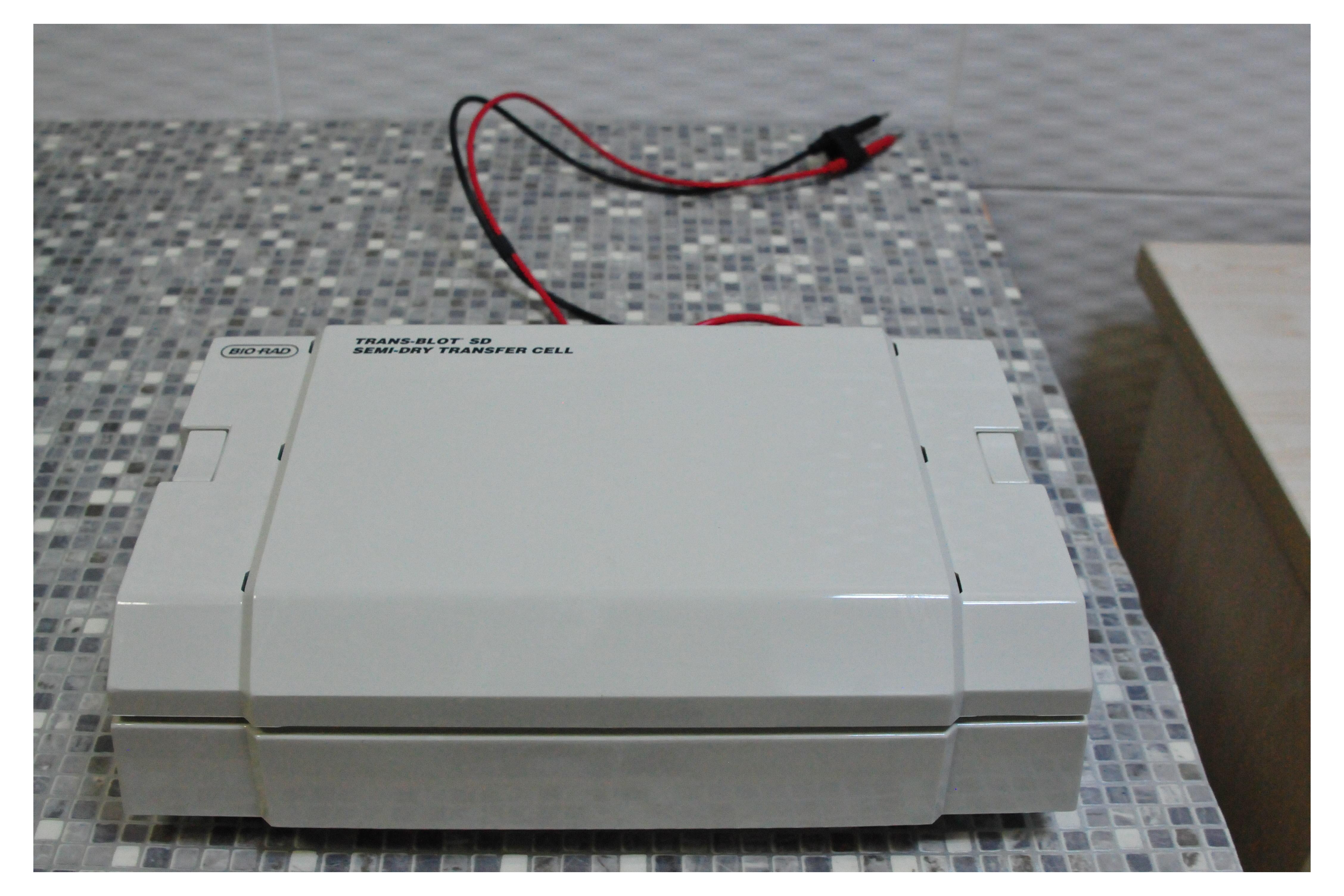 Western Blot Semi-dry Transfer sistemi
