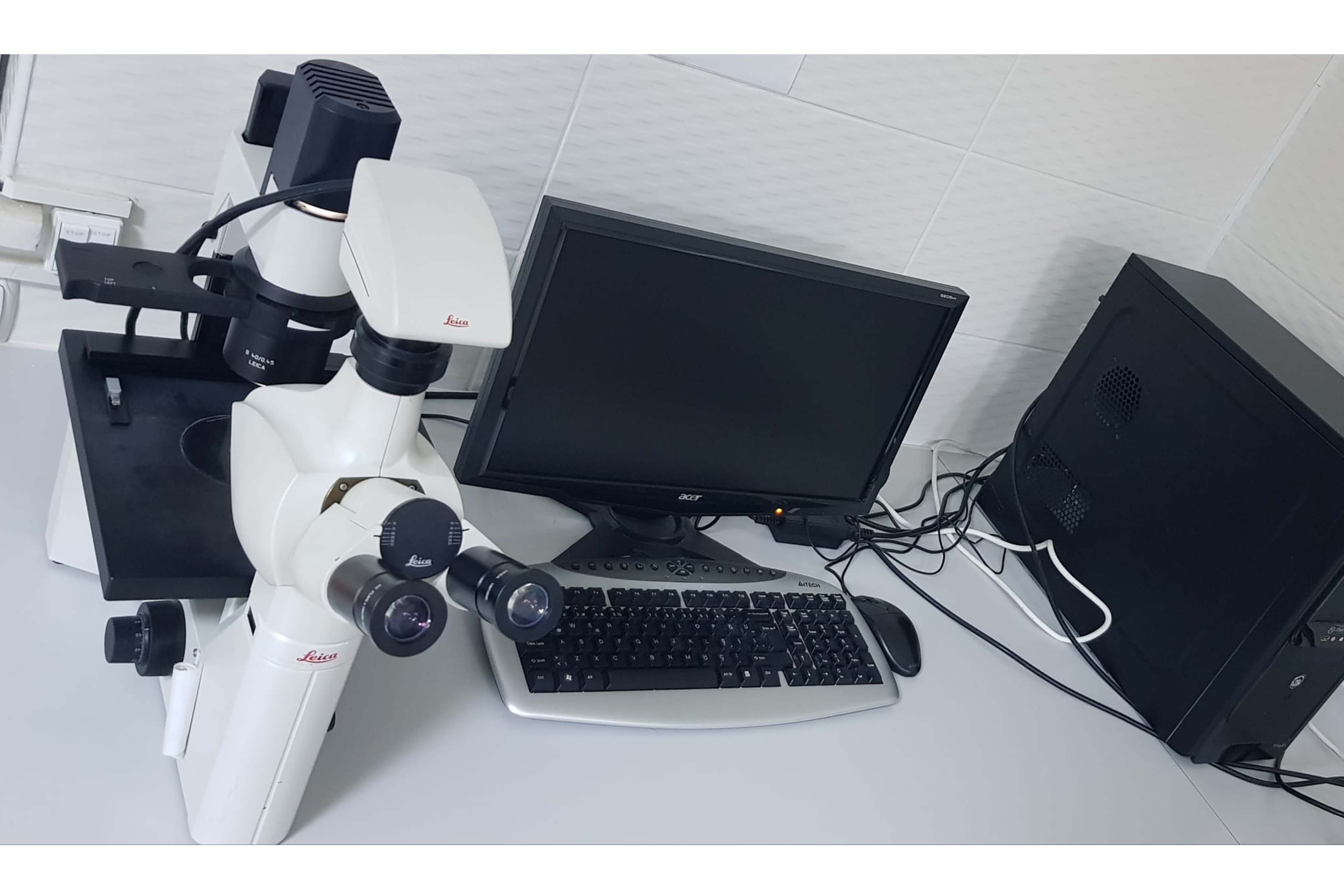 Ters Işık Mikroskobu