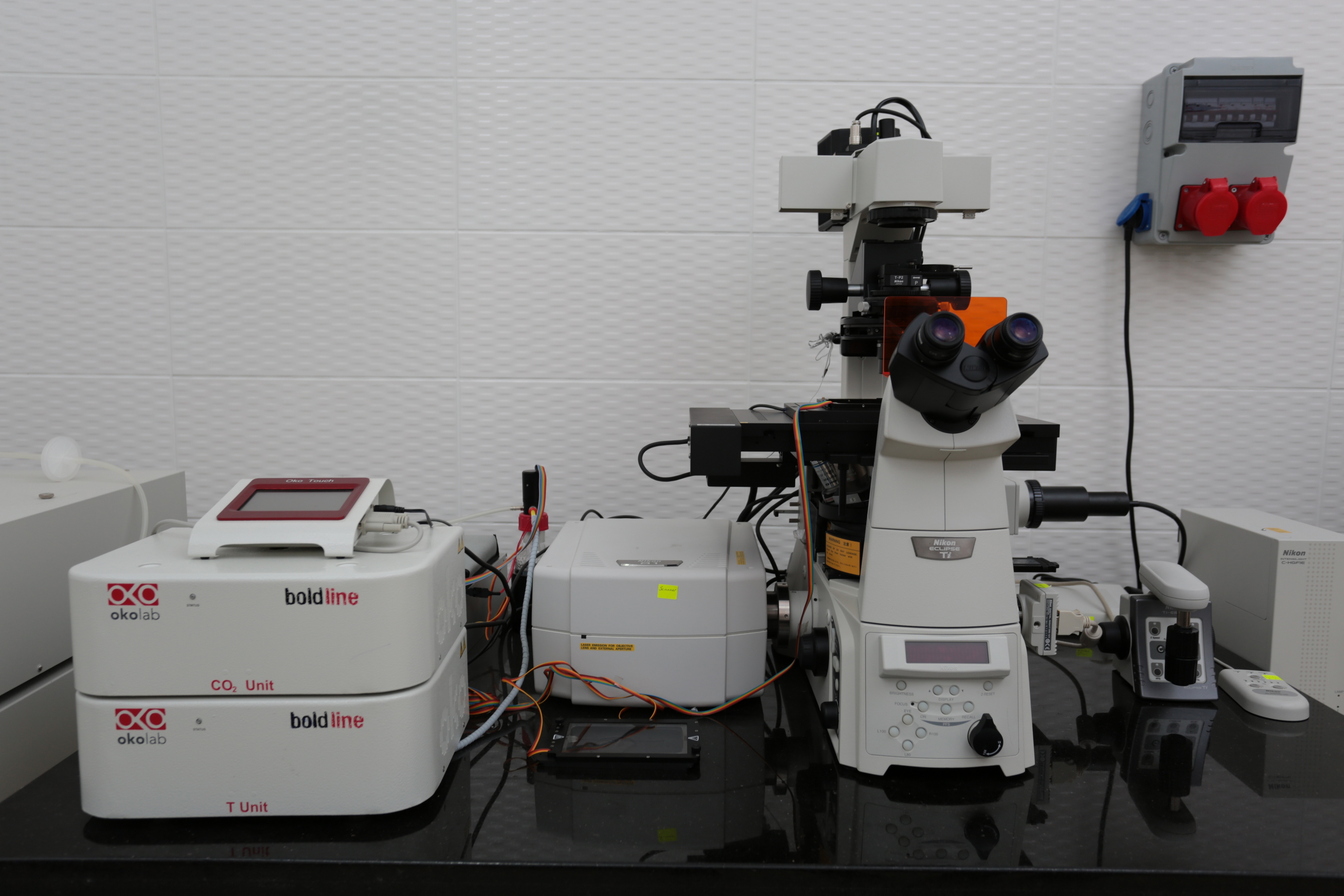 Lazer Taramalı Konfokal Mikroskop